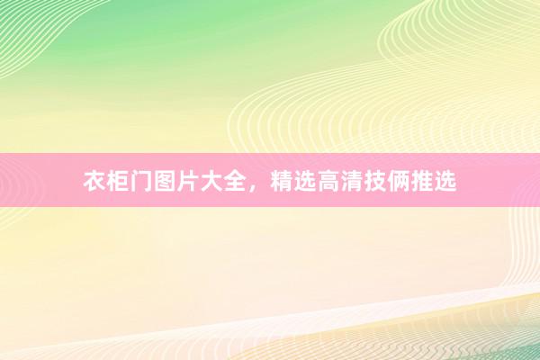 衣柜门图片大全，精选高清技俩推选