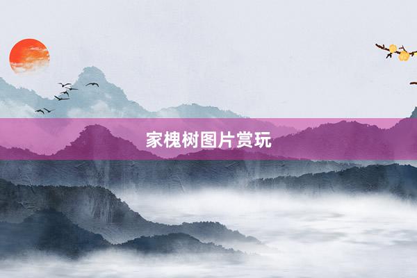 家槐树图片赏玩