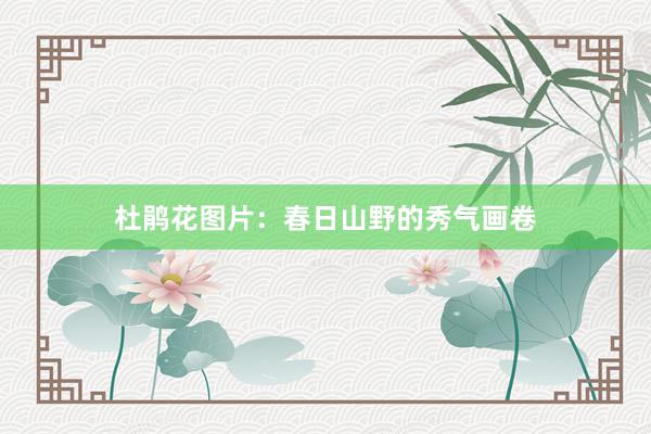 杜鹃花图片：春日山野的秀气画卷